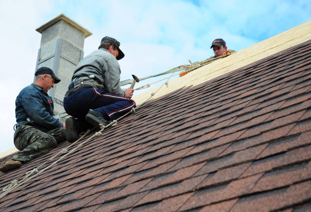 Best Local Roofing Companies  in Ronan, MT