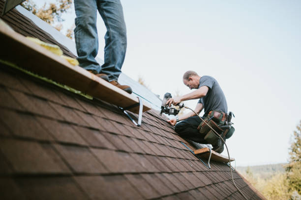 Best Roof Gutter Cleaning  in Ronan, MT